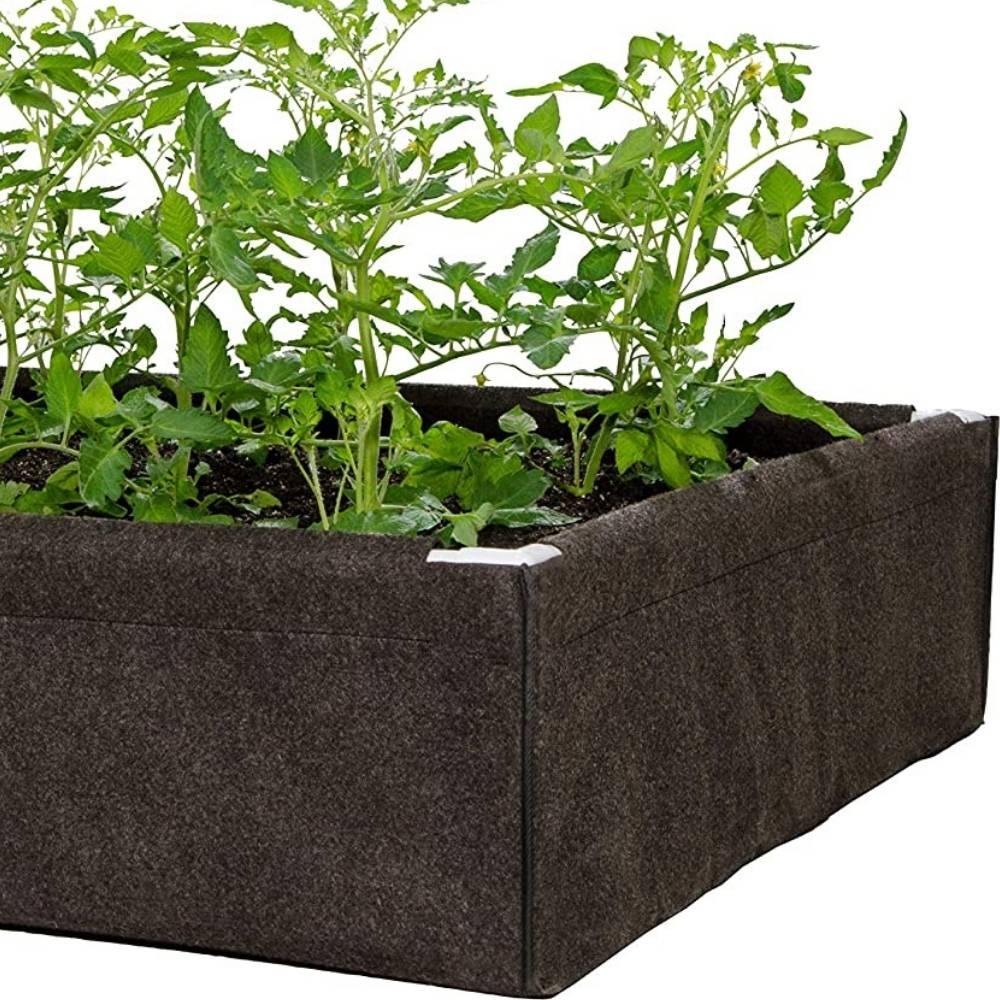 Elevated Garden Bed: image 3