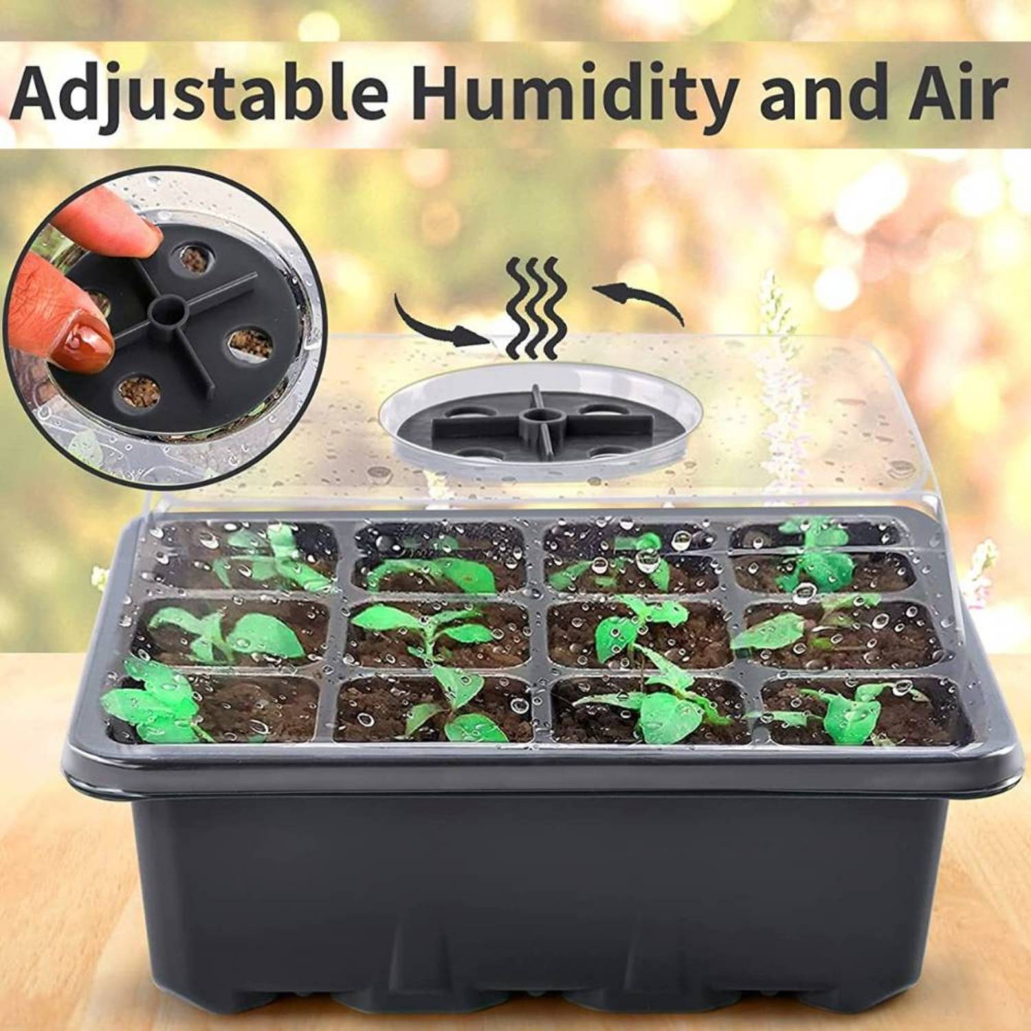 Self Watering Seedling Tray: image 7