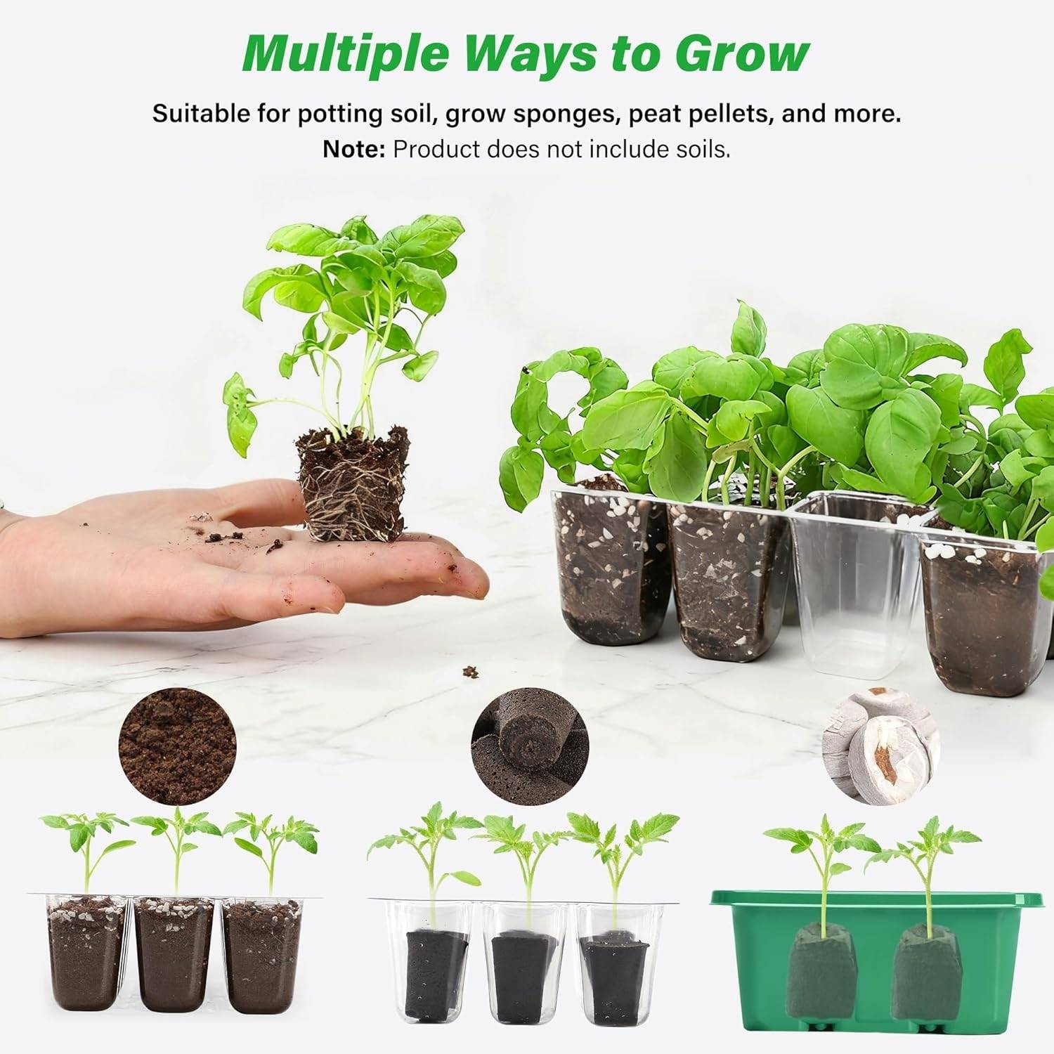 Self Watering Seedling Tray: image 8