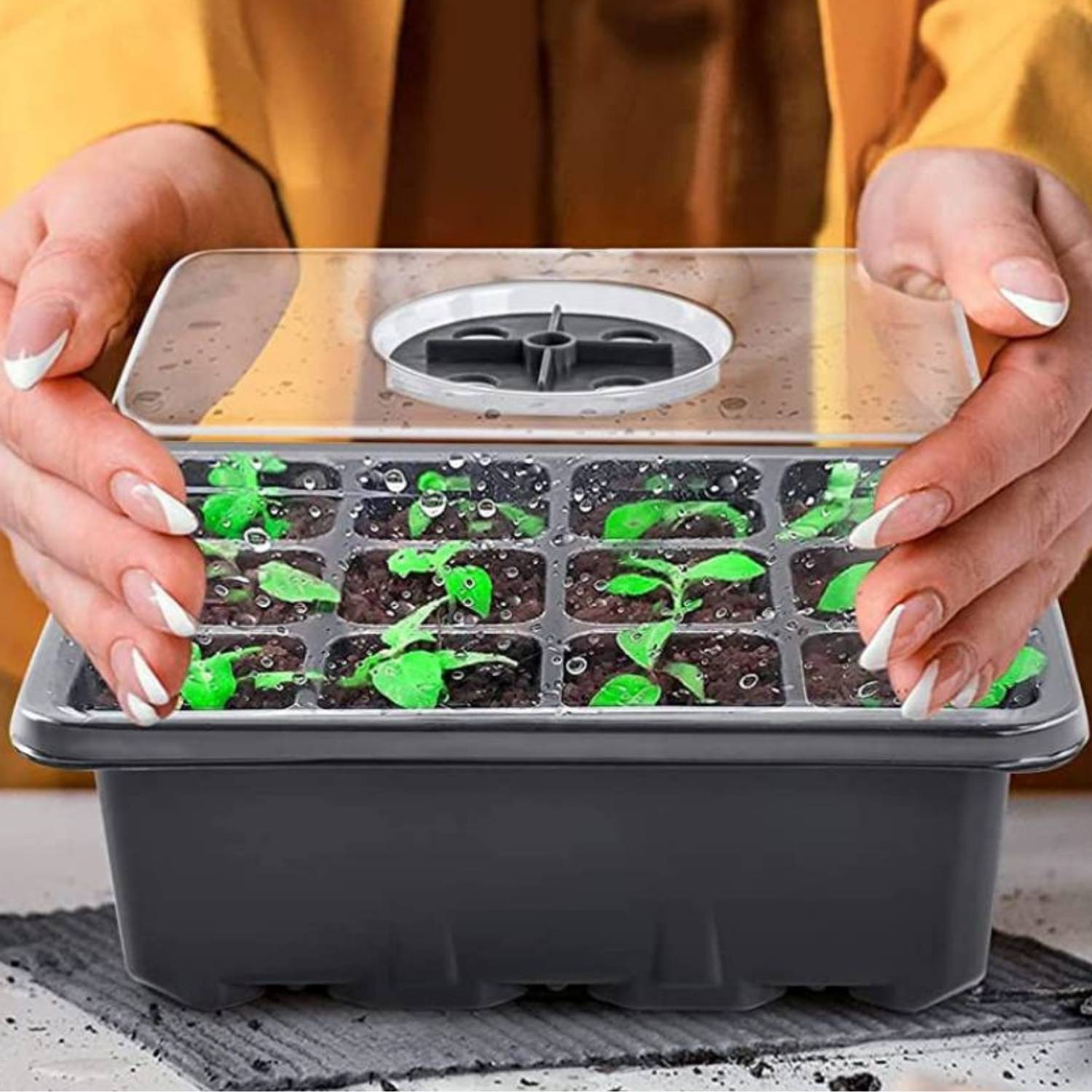 Self Watering Seedling Tray: image 9