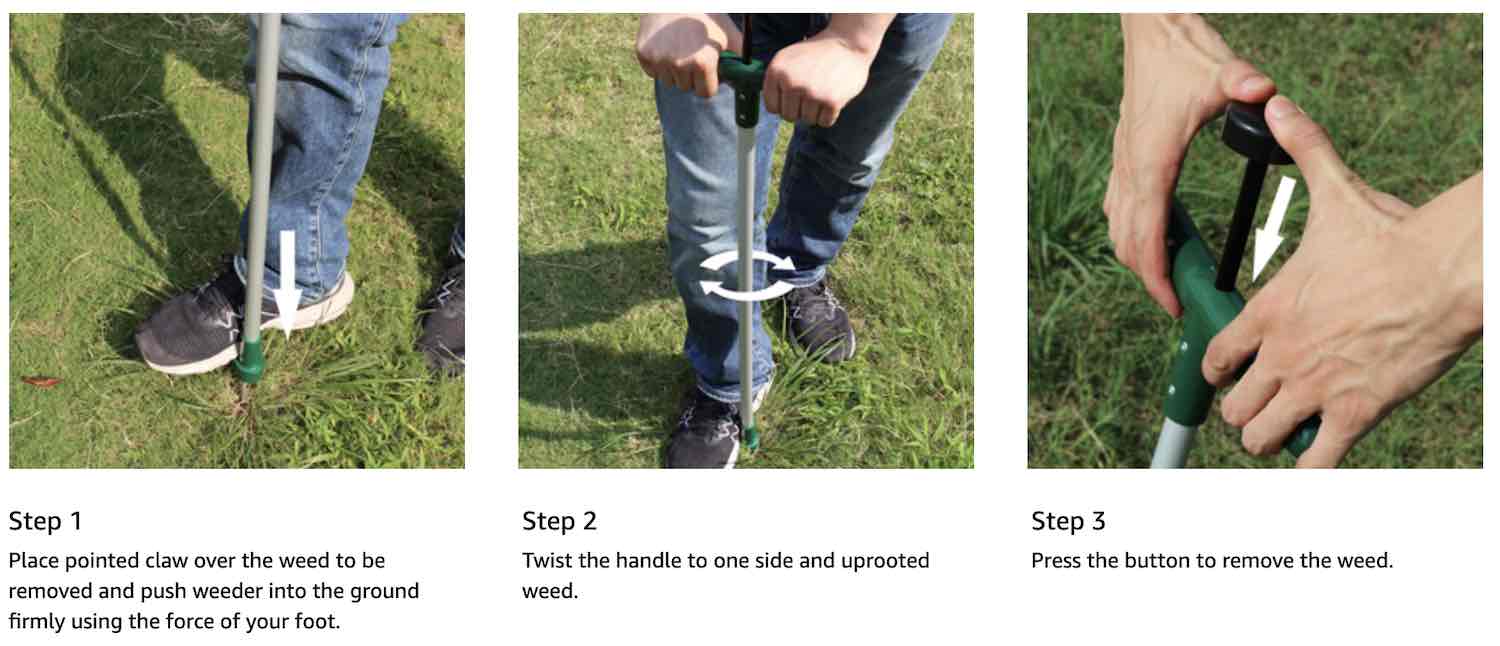 Stand Up Root Removal: image 5